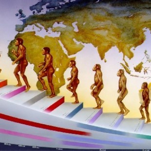 La storia dell’evoluzione ne “La conquista sociale della Terra”