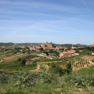 Fidanzamento