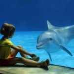 Animale-terapia-delfino-bambino-con-problemi-motori
