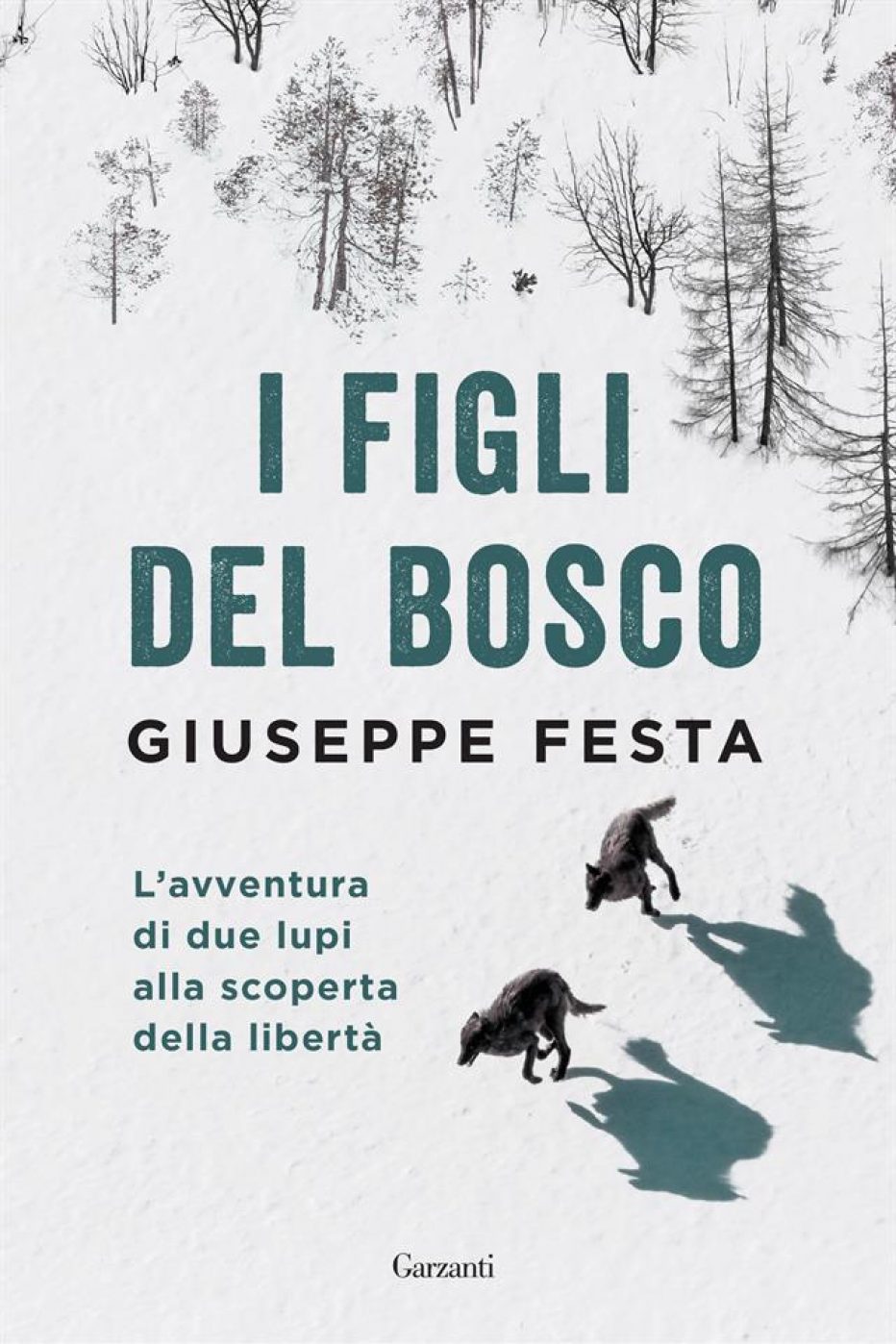 Giuseppe Festa ci parla del suo nuovo libro