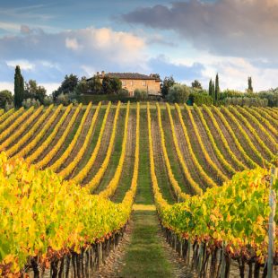 La Maremma in un concorso letterario e fotografico