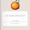 ‘Antidolorifico’ nuovo romanzo di Lorenzo Mazzoni