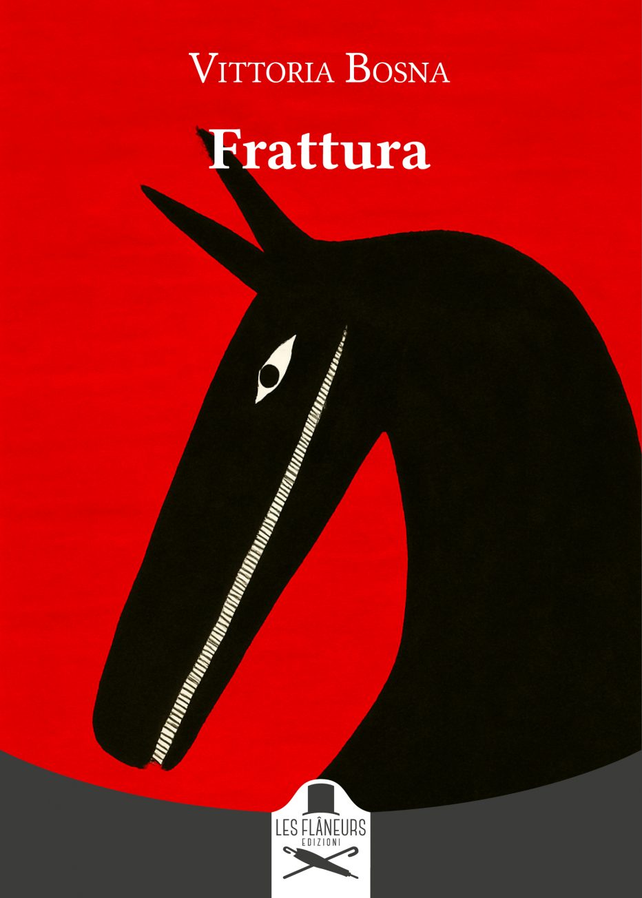 ‘Frattura’ di Vittoria Bosna