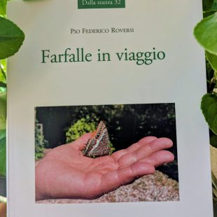 ‘Farfalle in viaggio’ di Pio Federico Roversi