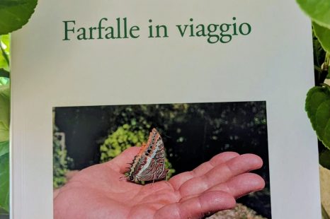 ‘Farfalle in viaggio’ di Pio Federico Roversi