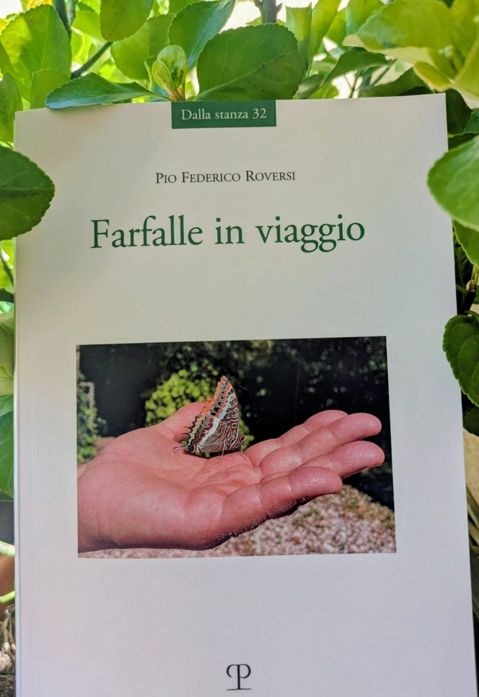 ‘Farfalle in viaggio’ di Pio Federico Roversi